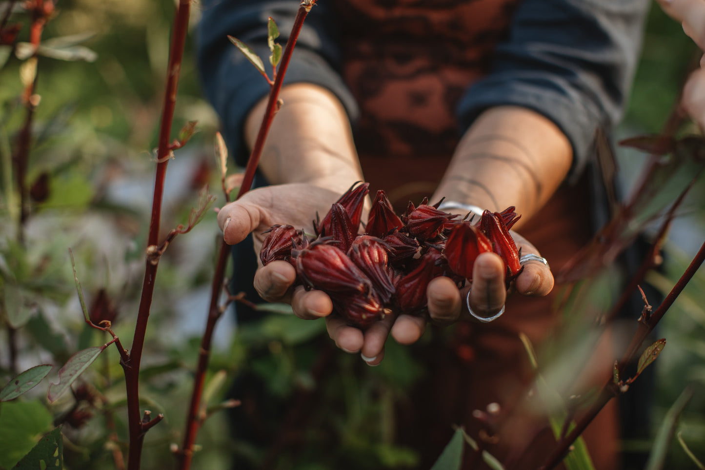 The learning in the slowing down and stepping away - Birthing inspiration for our next print.